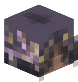 .Nexia1234's avatar