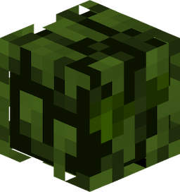 SioWind's avatar