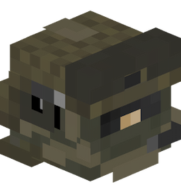 Combatant's avatar