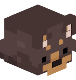 polyomi's avatar